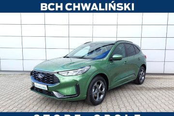 kamery 360, BLIS, Navigacja, ogrzewana kierownica i fotele