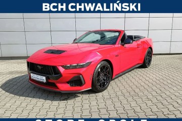 Ford Mustang V8 Cabrio GT Nite Pony